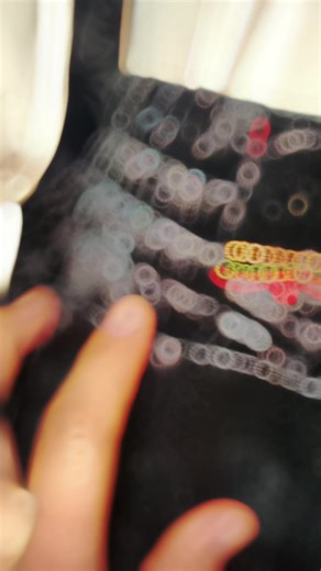 Exploring National Costumes in Bishkek