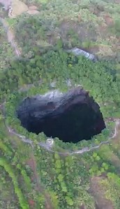A primeval forest in a cave? Incredible nature！ 📍:Guangdong, China 📸:heiyubai #nature #重慶 #Chongqing#nature #Guangdong | iChongqing