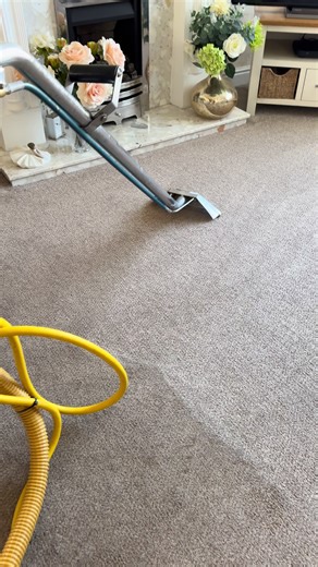 Revitalize Your Carpets with Professional Cleaning Services