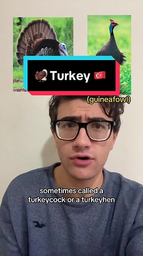 Not to mention all the onomatopoeic terms #linguistics #languages #turkey