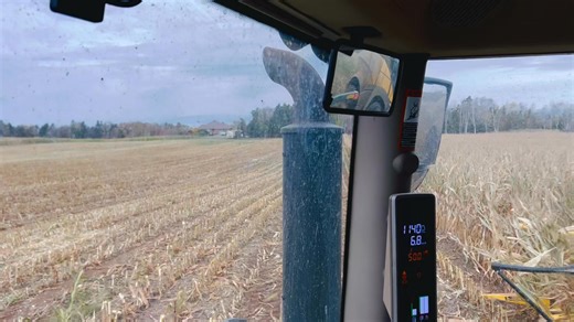 Deborah Davis on Reels