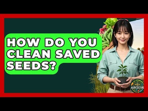 How Do You Clean Saved Seeds? - The World of Agriculture