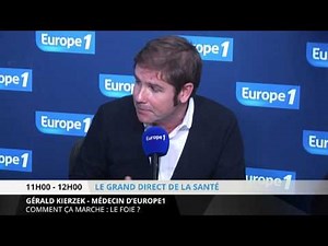 The liver: how does it work?