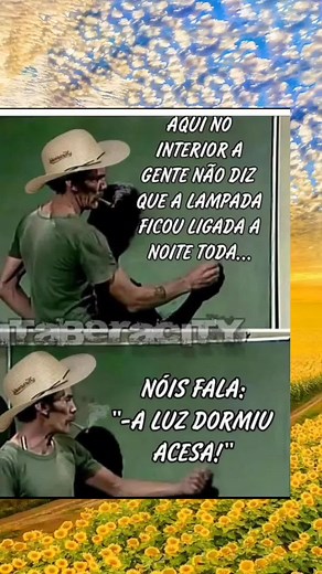 Exploring the Meaning of 'I Don't Have an Interior'