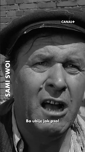 Komedia, która się nie starzeje | Sami swoi | Oglądaj w CANAL+ #samiswoi #canalpluspolska #canalplus