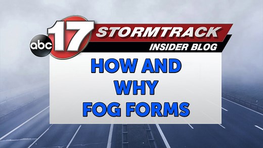 Fog: What is it, how does it form, and where is it most common?