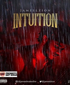 Jameel Zion represents multiple meanings but the core definition is...