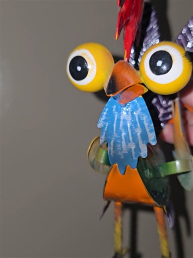 Multicolored Chicken: A Must-Have for Your Collection