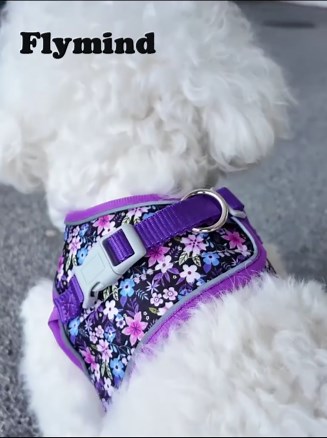 Step in Dog Harness and Leash Set, Flower Adjustable Easy Walk Puppy Harnesses, Soft Mesh No Pull Pet Vest Harness for Small Dogs and Cats(Daisy, XXS)