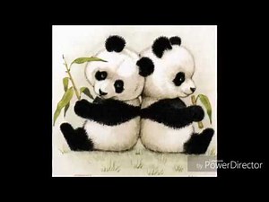 SOSIMO SACRAMENTO TE ACORDARÁS DE MI ALONSO C.N.J