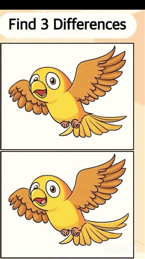 🧠 Ca n you find hidden difference .