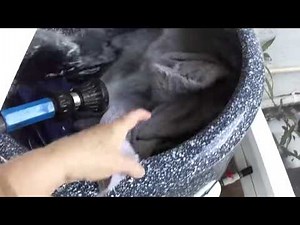 Using a wringer washer