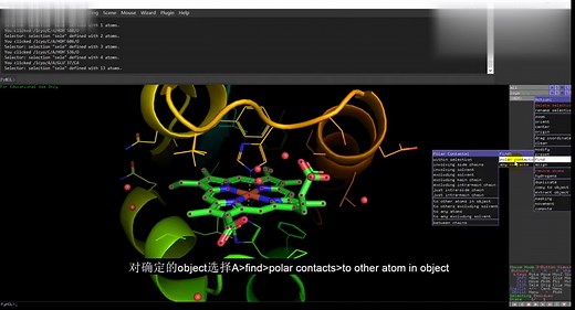 「PyMol作图入门」4.寻找特定单位的互作和任意两原子之间距离的测量