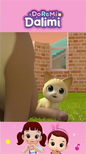 Kitty Meow Meow🐱💞ㅣDoremi Dalimi | Animation #Shorts #kidssong #cartoon