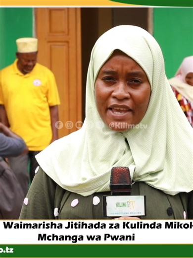 Mradi wa FOLOUR Waimarisha Jitihada za Kulinda Mikoko Tumbatu na Mchanga wa Pwani #Kilimotv #UkomboziKwaMkulima #zanzibartiktok🇹🇿 #viralvideo #Trends2026