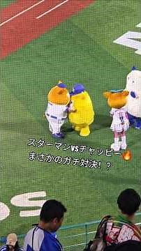 スターマンvsチャッピー #スターマン #チャッピー #横浜DeNAベイスターズ #ベイスターズ #マスコット #プロ野球