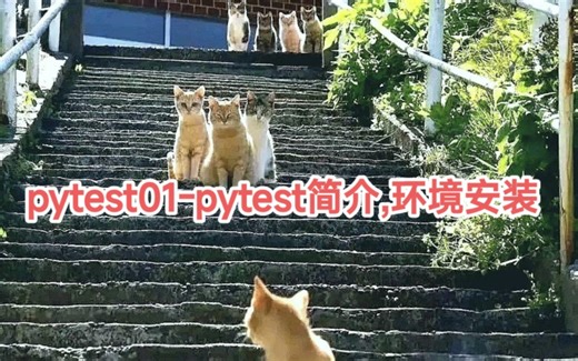 pytest01-pytest简介,环境安装