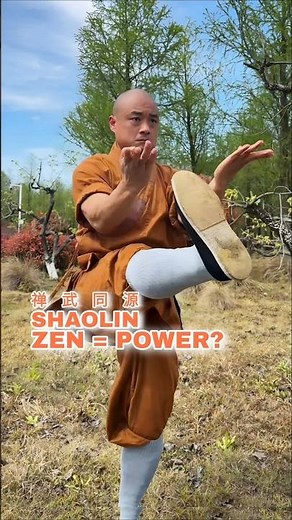 Shaolin Zen Kung Fu⚡Why Stillness Creates Power (禅武同源)