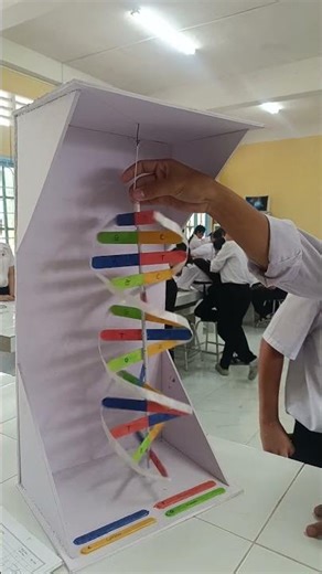#stem dna Sinh học 9 KHTN 9