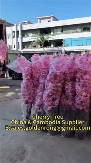 Professional Artificial Cherry Blossom Tree China & Cambodia #artificialplants #plants #blossomtree