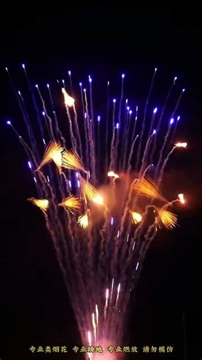 Fan Shape Gold Waterfall #wizardfireworks #fireworks