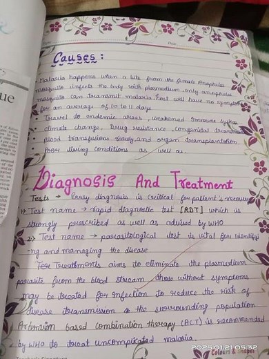 class 12 biology project file on malaria