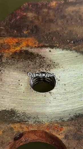 Пока слушаешь историю, лови 3 факта о нас, в которые трудно поверить (№3 выносит мозг): 🍌 Радиационный десерт: Обычные бананы слегка радиоактивны. В них столько калия, что если съесть 10 миллионов штук за один присест, можно получить смертельную дозу радиации. Но не переживай — твой желудок сдастся гораздо раньше. 🦈 Древнее деревьев: Акулы появились на Земле раньше, чем деревья. Первые акулы бороздили океаны около 400 миллионов лет назад, тогда как деревья «сообразили» вырасти только через 50 