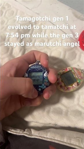 Tamatchi and maruten