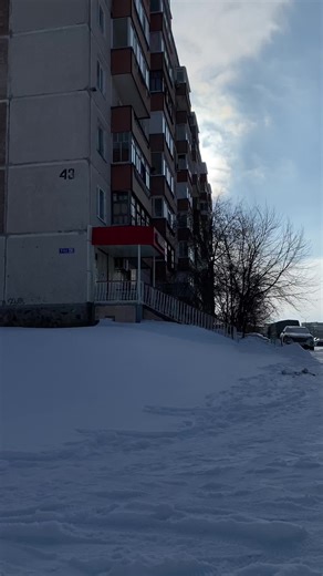 #степногорск#весна #птичкипоют #птички