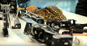 Robo-reptiles spy on their flesh-and-blood counterparts