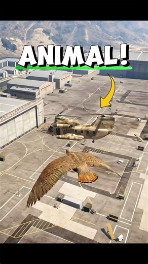 What Happens If an Animal Enters the Military Base in GTA V? 😱