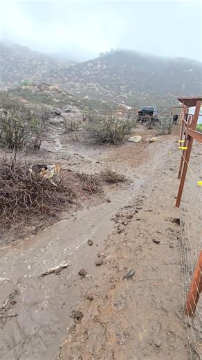 11 reactions | Putting down more seed and covering it with the fertilizer in the rainstorm. | Lynn Ray | Facebook