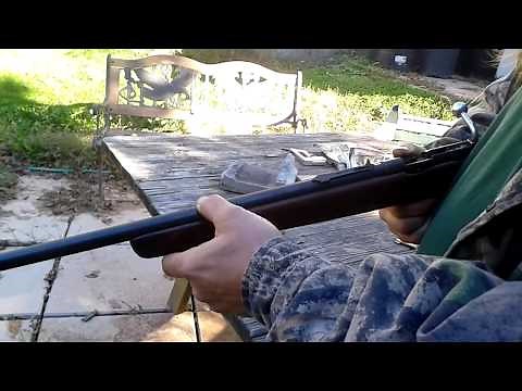 22 mag shot out of a 22 long rifle