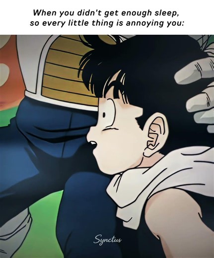 Everything Starts Irritating Me l Vegeta l BUENATEKK (Slowed)