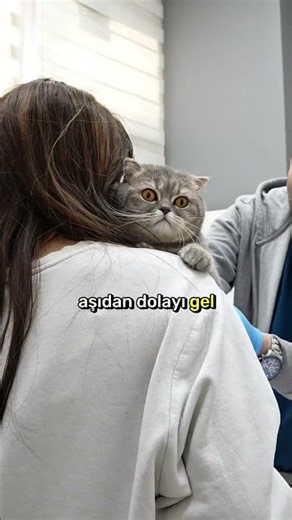 Cuties know their way around vet clinics🥰