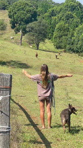 ##viral #tiktok #trending #fyp #foryou #foryoupage #explore #viralvideo #reels #reelsvideo #follow #like #share #comment #newvideo #2026 #trend #tiktoker #famous #shorts #discover #popular #featureme #instareels #explorepage #boom #flow #algorithm