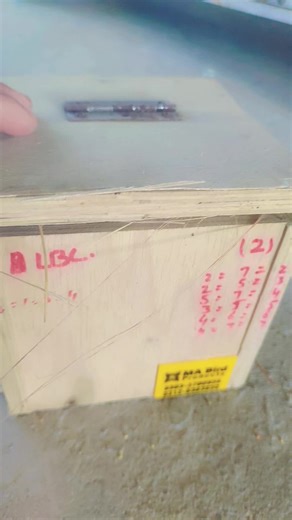 Ayan Birds: Discovering Sargodha's Finch Varieties