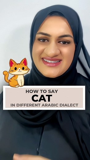 How to say 'Cat' in different Arabic Dialects. | Alramsa Emirati