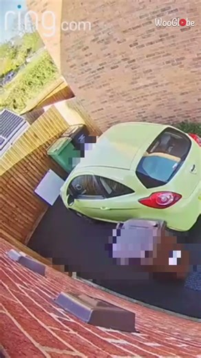 Paranormal Incident: Trash Bin Moves Itself to Driveway || WooGlobe