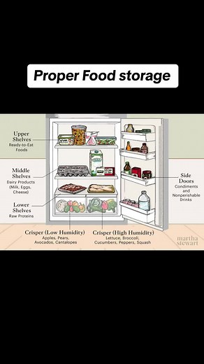 Proper Food Storage Tips for Your Fridge
