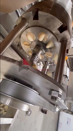 100 kg/h Shell Pasta Production Line Trial with Milk Formula#macaroni +86 13256674591
