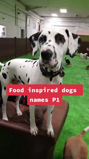 Food-Inspired Dog Names Part 1: Waffle, Sprout, Biscuit, Pickles