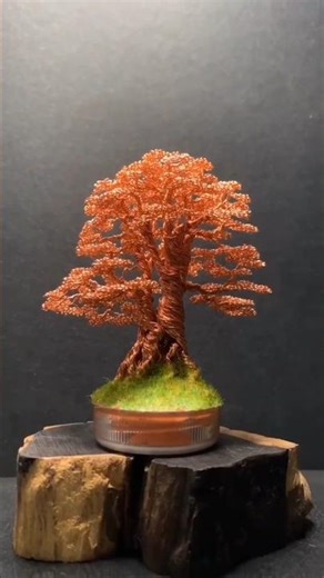 tree with copper wire activity #shorts#ytshorts #activity
