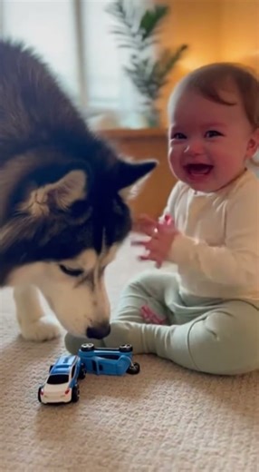 Baby Was Crying… Husky KNEW What to Do 🥹🐶👶 #trending