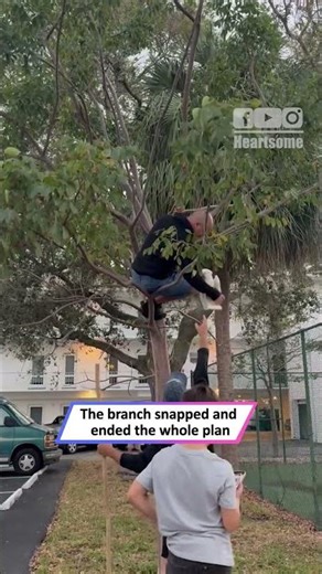 Rescue Gone Wrong! Man Falls as Escaped Bird Saves Itself|| Heartsome 💖