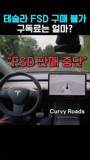 Elon Musk: "Tesla FSD Purchases Unavailable"