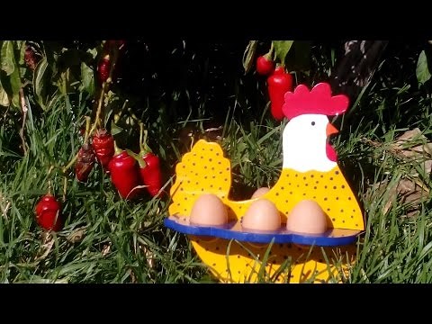 Como Hacer una Gallina Porta Huevos en Mdf