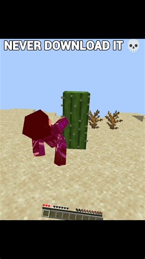 Minecraft : Never Try this invincible MOD 💀