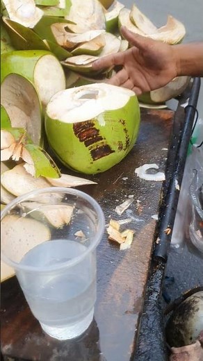 Best Machetes for Coconut Opening A Practical Comparison