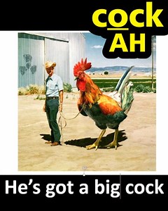 Here is an excellent pronunciation lesson! Watch the full lesson here https://youtu.be/OGfYhSYKD2w free quiz here https://privateenglishportal.com/whatsnew/383-learn-english-prepositions-advanced-english-for-30-days-lesson-10?fbclid=IwAR01Ua_o1e3AKNYxz82cGWskmAjq0Cs9t5KvcCAb6zlePtoraJn3spwXx4o #englishspeaking #learnenglishonline #americanaccents #toefl #englishlessons #englishpronunciation | English with Steve Ford